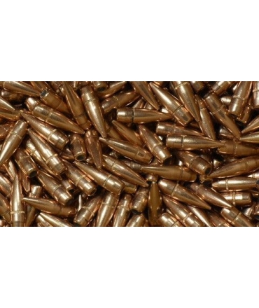 Sachet de 500 projectiles cal.308