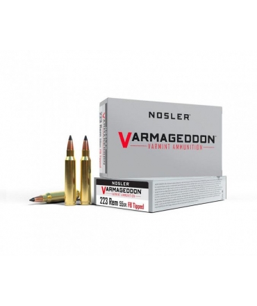 Boite de 20 cartouches Nosler VGA-223 Rem 55gr VG FBT